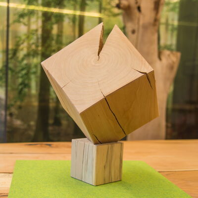 Holzwürfel